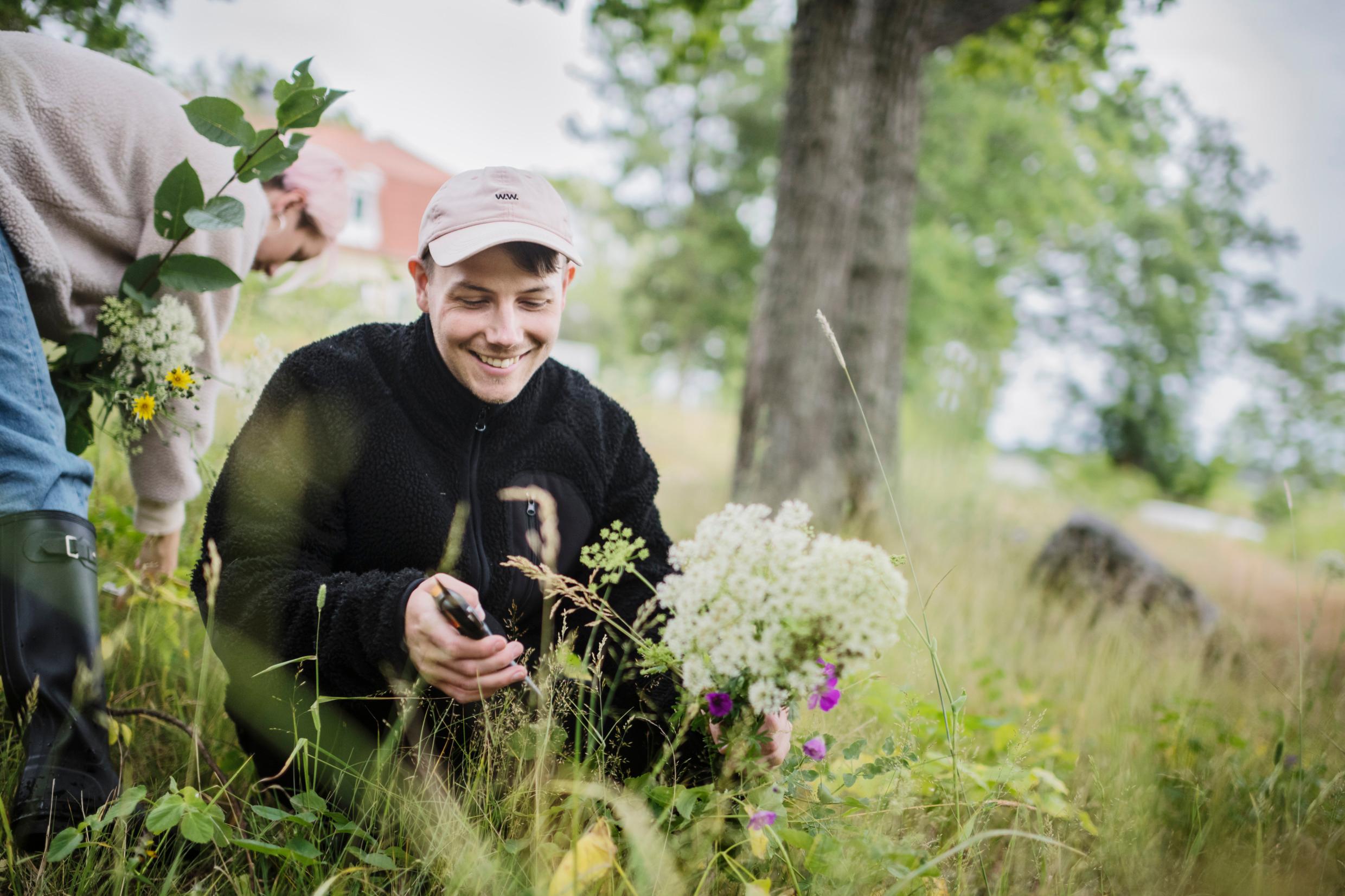 A man with a cap sitting down picking flowers on a meadow. Someone else's hands seen on the left.