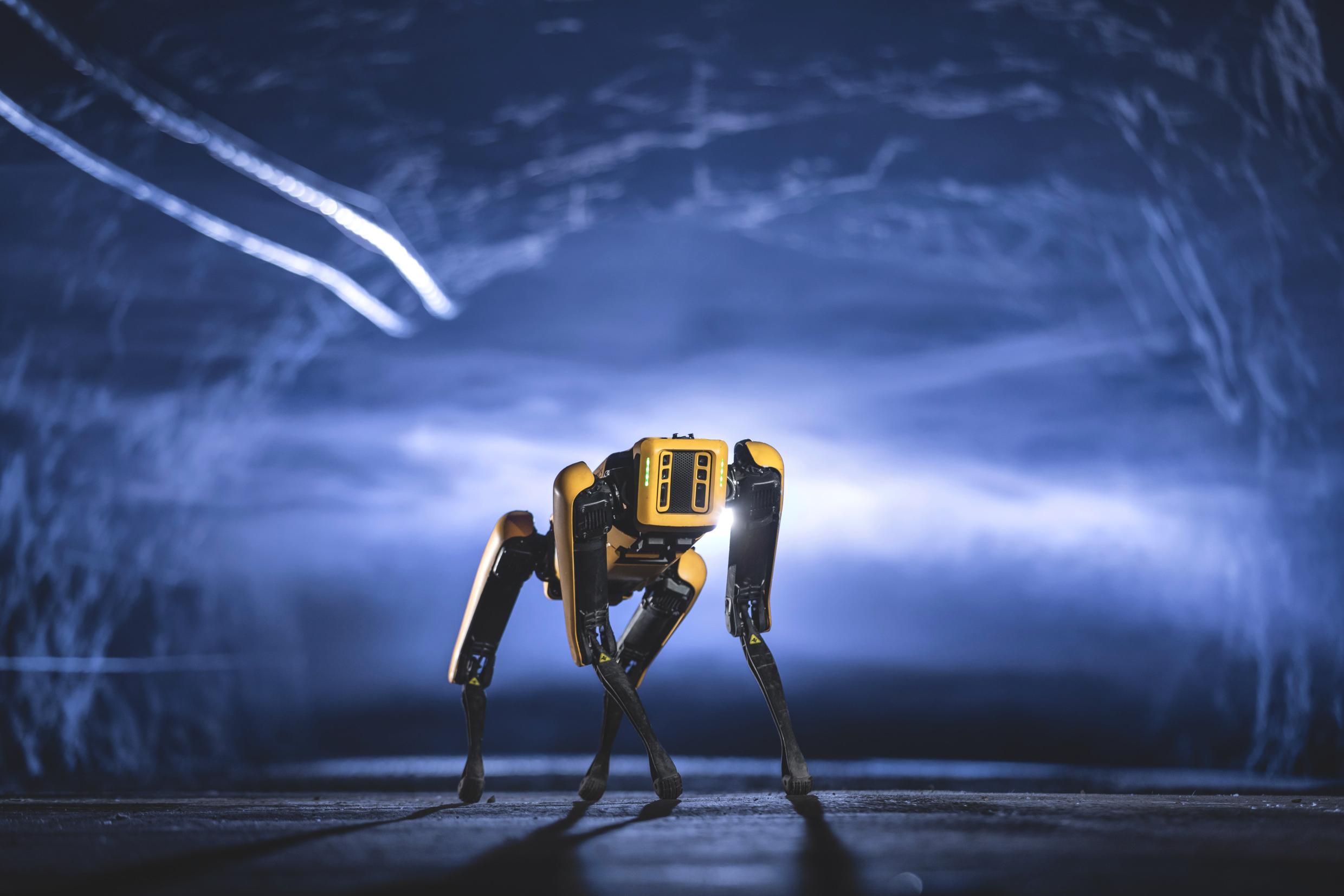 A robotic dog inside a mine.