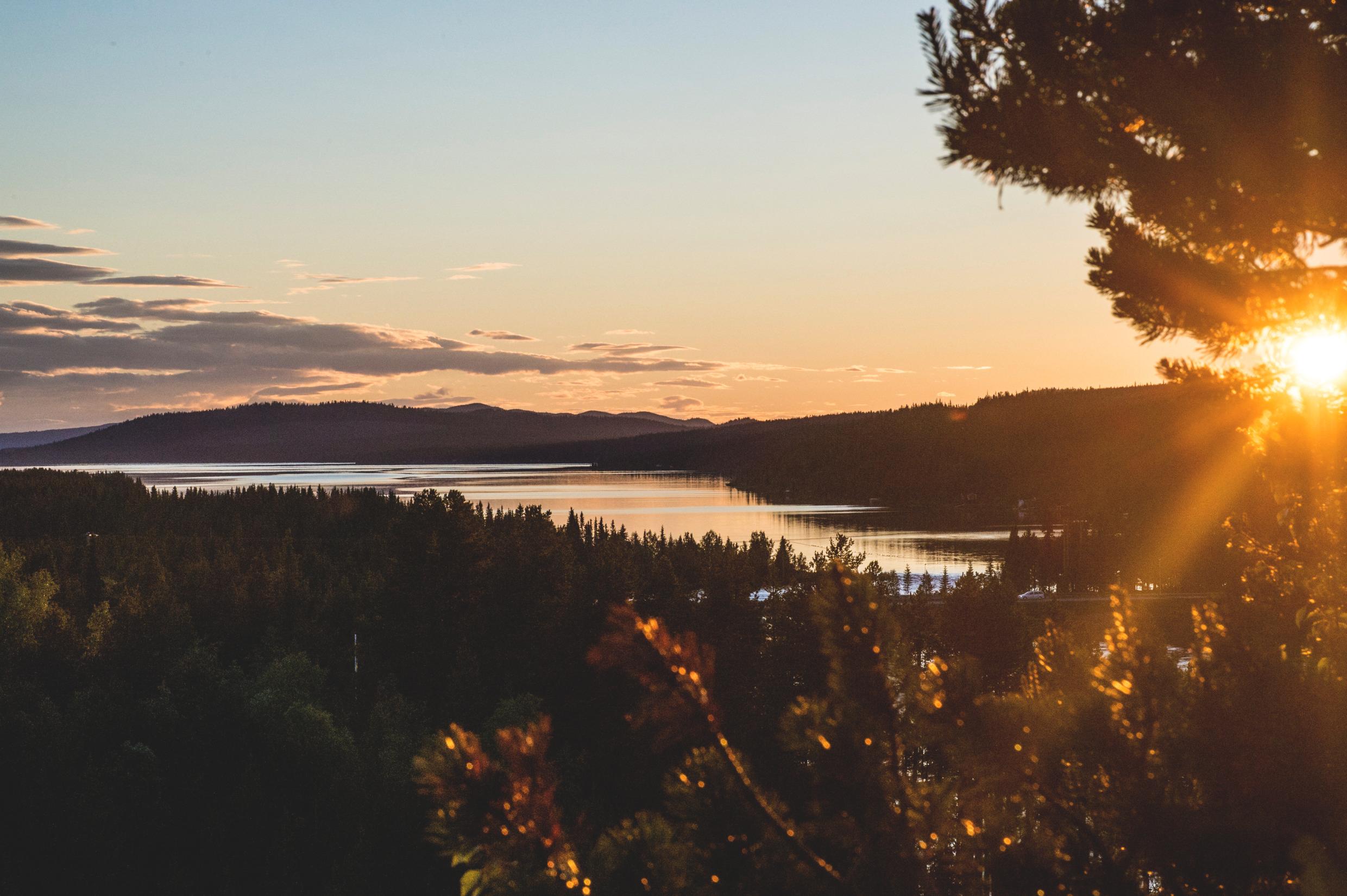 asaf_kliger-midnight_sun-6508
